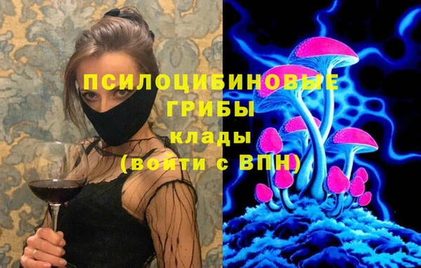 ешки Алзамай