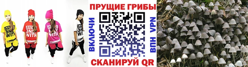 Галлюциногенные грибы мицелий магазин продажи Нарьян-Мар