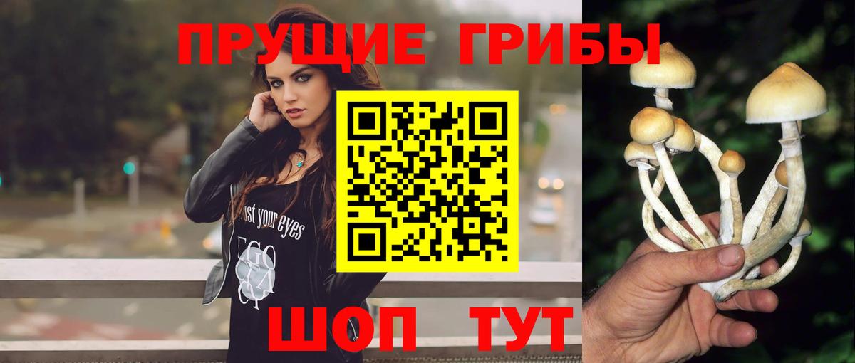 Псилоцибиновые грибы мицелий  Вход с VPN  Нарьян-Мар 